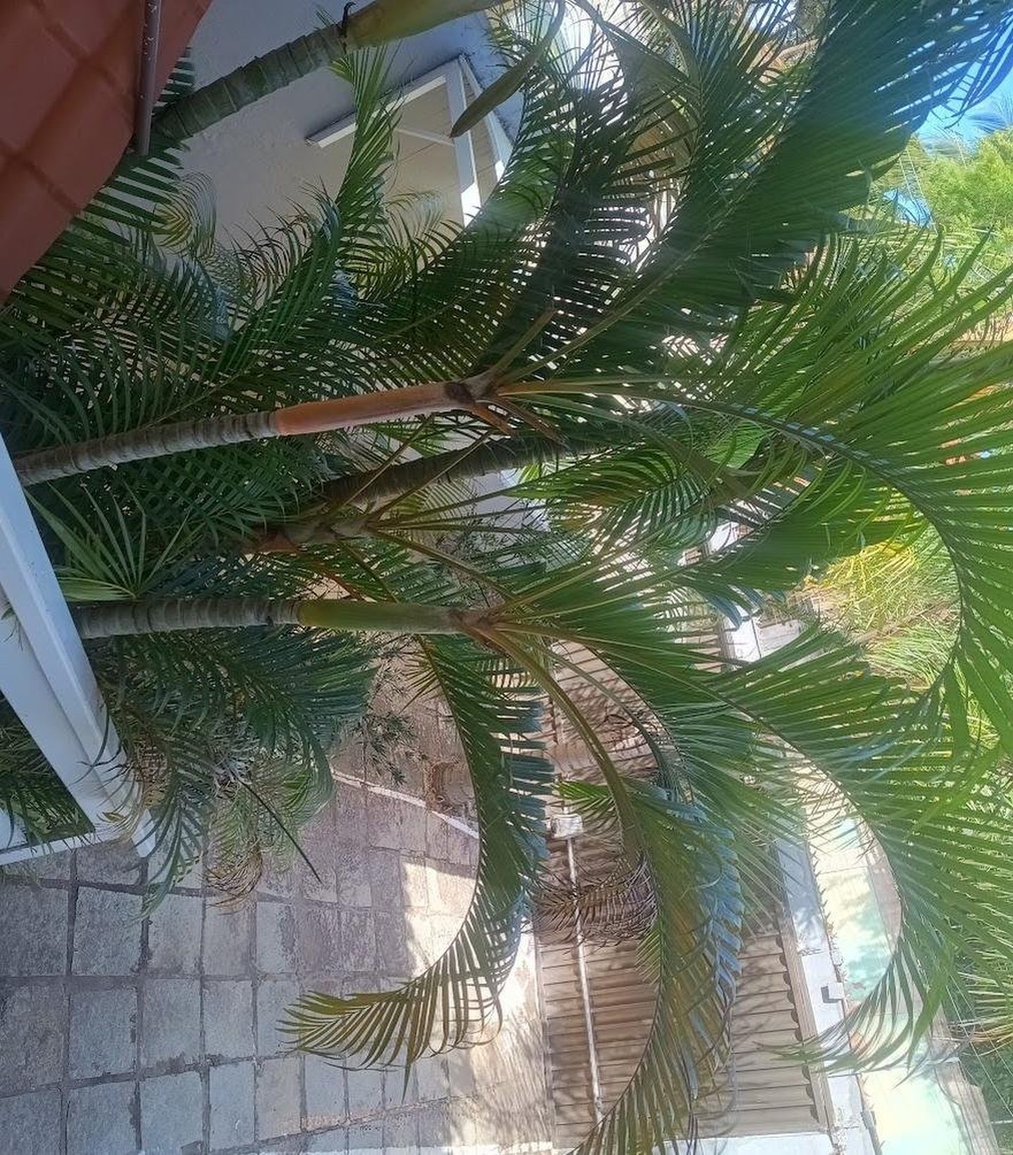 Apartamento à venda com 2 quartos, 2 banheiros, 2 vagas e 180m² no Ipitanga, Lauro de Freitas (BA) — foto 20 de 27