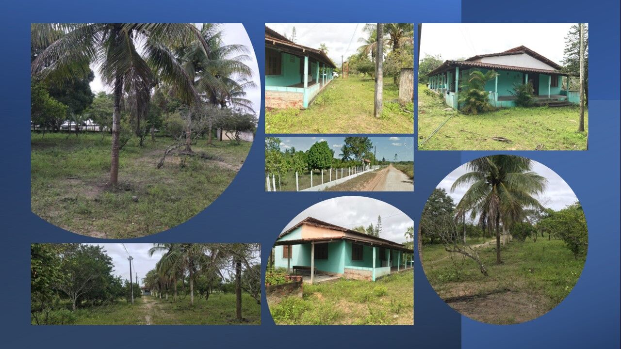 Fazenda à venda em Área Rural de Alagoinhas, Alagoinhas - 4 quartos 29077 m² - foto principal