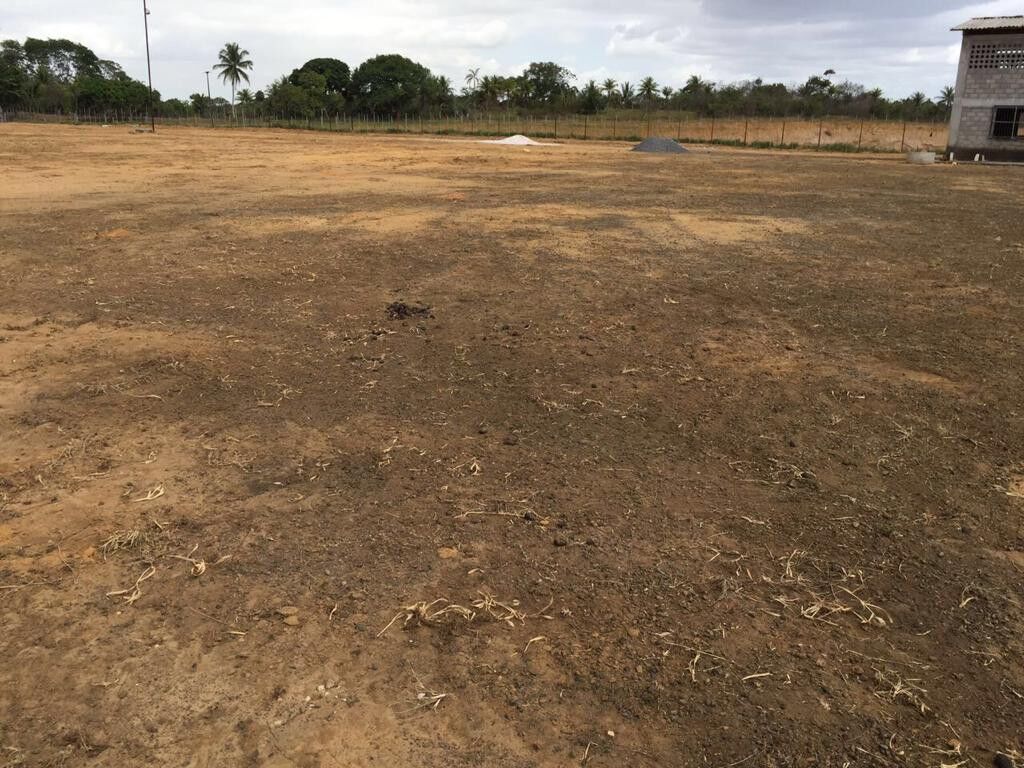 Casa, 28000 m² - Foto 4