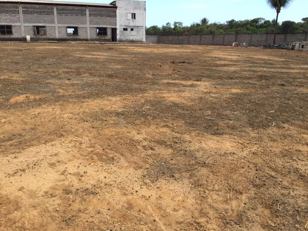Casa, 28000 m² - Foto 7