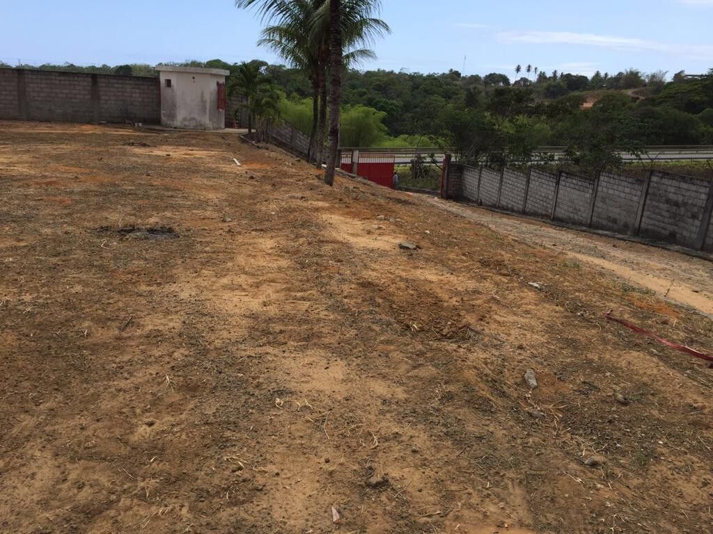 Casa, 28000 m² - Foto 10