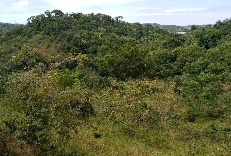 Terreno à venda em Góes Calmon, Simões Filho - 420000 m² - foto 2