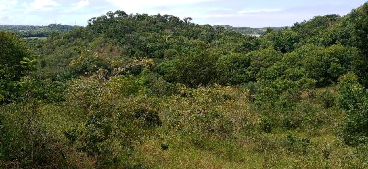 Terreno à venda em Góes Calmon — 420.000 m²